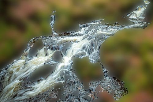 Un ruisseau dans la forêt