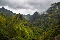Groene bergen (Madeira)