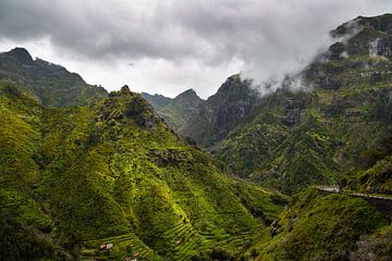 Groene bergen (Madeira) van Bart Stappers