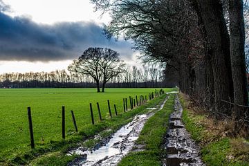 Boerenweggetje in Drente van Brian Morgan