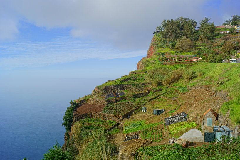 Madeira by Michel van Kooten