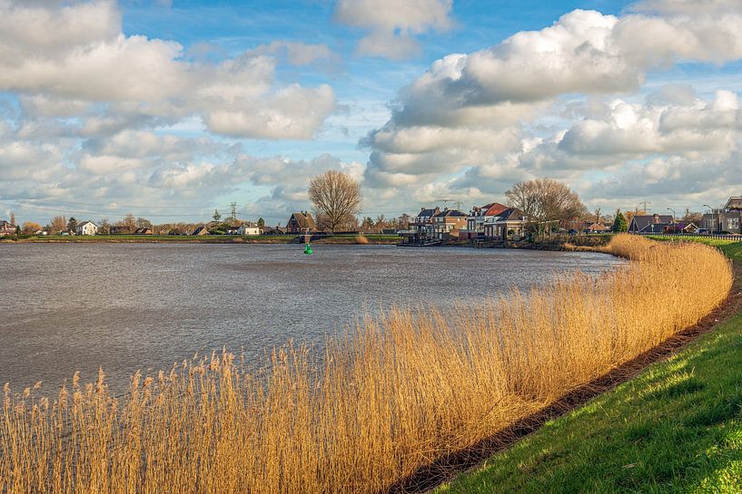An den Ufern der Hollandse IJssel von Ruud Morijn