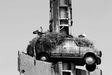 Storks' nests on Oldtimer by Inge Hogenbijl