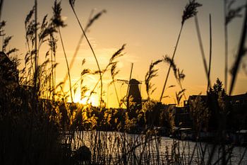 Brouwerij 't IJ in Amsterdam