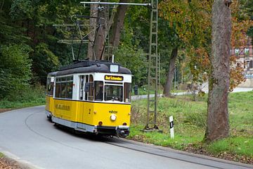 Kirnitzschtalbahn (Saksisch Zwitserland / Elbezandsteengebergte) van t.ART