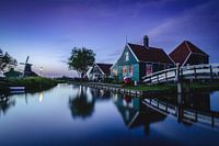 Sunrise Cheese farm the Catharina Hoeve
