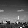 Stadtbild der Erasmusbrücke und der Stadt Rotterdam von Pix-Art By Naomi.k