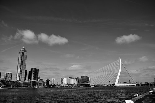 Stadsgezicht van de Erasmusbrug en de stad Rotterdam