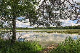 Riedsee lakeside landscape with jetty in Wurzacher Ried - District of Ravensburg by BlattArt - Christine Horn