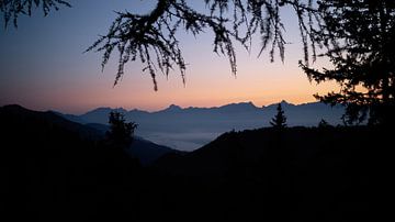 Blue hour op de bergen - prachtige zonsopgang met uitzicht op de Alpen van chamois huntress