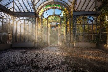 In meinem Wintergarten.