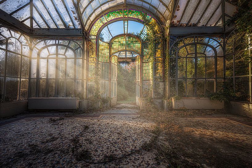 In meinem Wintergarten. von Emmanuel RAUSSIN