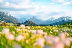 Spring in the Allgäu, winter in the Alps by Leo Schindzielorz