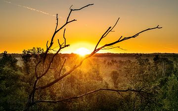 Zonsopkomst boven het Vragenderveen van Jarno Hilge