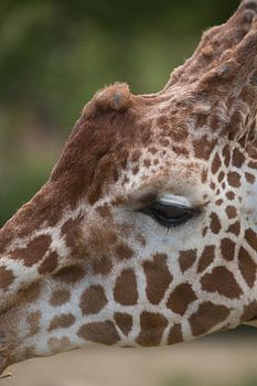 Impression personnelle