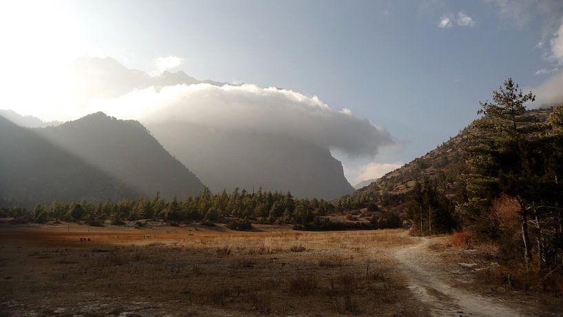 'Wolk omhelst berg', Pisang- Nepal by Martine Joanne