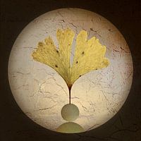 Golden Leaf. Ginkgo. Japandi. Leaves.