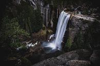 Yosemite National park van Jasper Verolme thumbnail