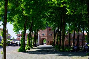 Fischmarkt mit Fischtor in Harderwijk