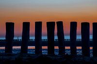 Evening coolness by the sea