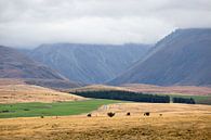 Des montagnes dans les nuages près de Tekapo en Nouvelle-Zélande par Armin Palavra Aperçu
