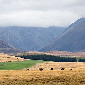 Bergeten in de wolken nabij Tekapo Nieuw Zeeland van Armin Palavra