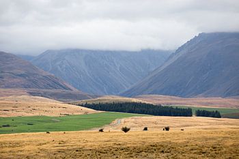 Berge in den Wolken bei Tekapo Neuseeland