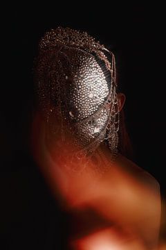 The woman with the rhinestone face van Laura Knipsael