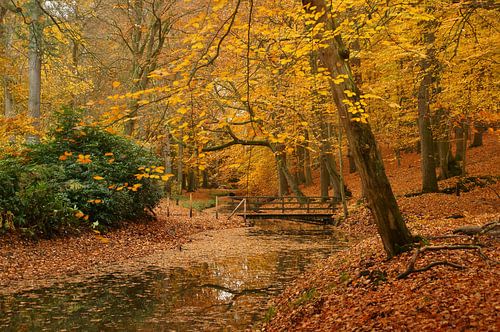 Herfst in het bos, een brug over de sloot