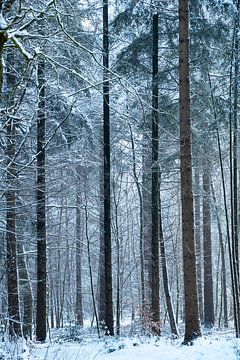 Bomen 3 van Léontine Lamers