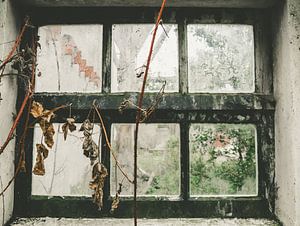 Zukunftsfenster