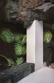 Lanzarote analogue by Karlijne Geudens