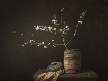 Nature morte. Maîtres anciens. Fleur.