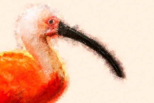 Portrait of a red ibis (art)