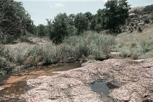 Der Bach im Nationalpark