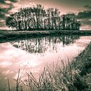 Perfect Reflection in Black and White by Roland's Foto's thumbnail
