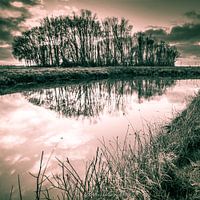 Perfect Reflection in Black and White