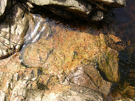 An Tobar Òir – The Golden Well by Helmut Martin - The Art of Stone - Steinkunst & Photographie