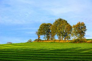 Herbst in Niedersachsen 