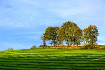 Autumn Scenery van Gisela Scheffbuch