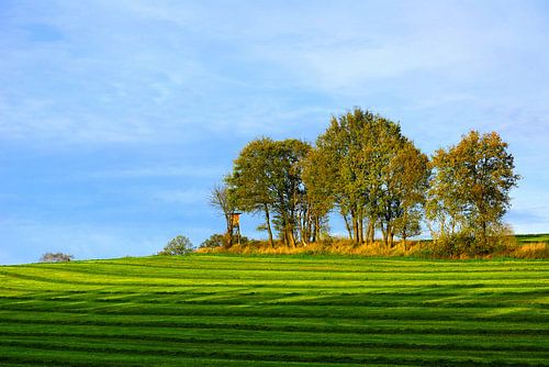 Herbst in Niedersachsen  sur Gisela Scheffbuch