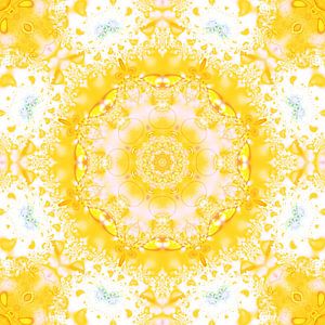 Mandala P4444 yellow and white
