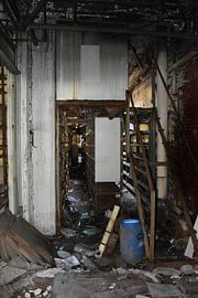 Du Parc sur Freya Vanvolsem