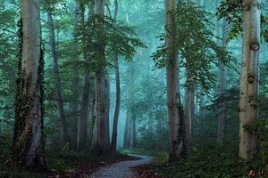 Blue Feelings sur Martin Podt