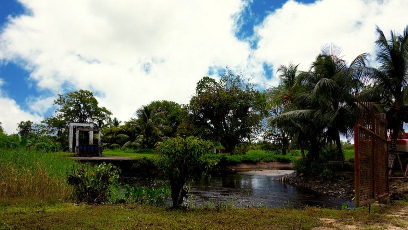 Schleuse in der Plantage Katwijk bei Paramaribo in Suriname von René Holtslag