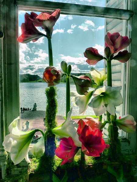 Bloemen by MG Capture