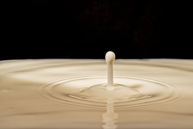 Just a drop of milk by Thomas Riess