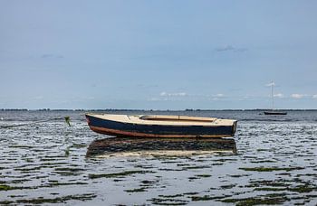 Boot, das trocken im Schlamm der Oosterschelde liegt