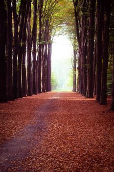 Landgoed Slangenburg, Doetinchem