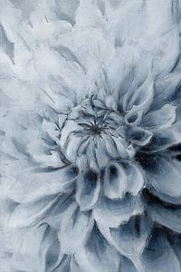 Dahlie | Blau